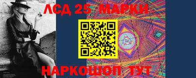 гидра Бердск