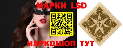 гидра Бердск