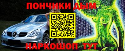 гидра Бердск