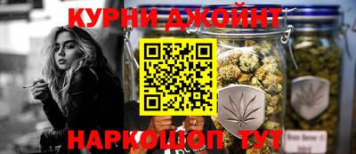 гидра Бердск