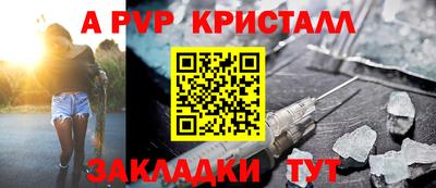 гидра Бердск