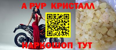 гидра Бердск