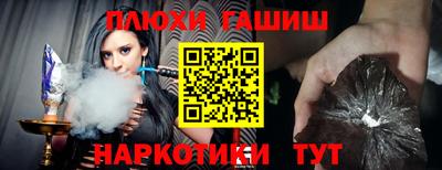 гидра Бердск