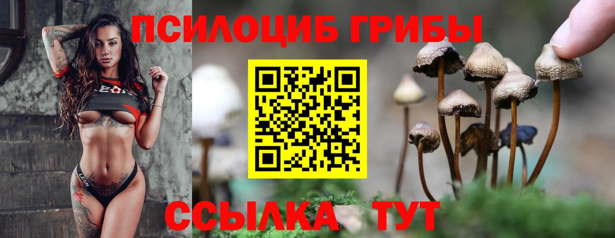 Великий Устюг  Галлюциногенные грибы мицелий  Вход с VPN 